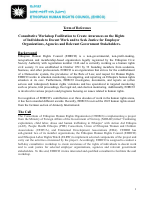 TOR_NORAD_Decent Work_November 2022.docx.pdf
